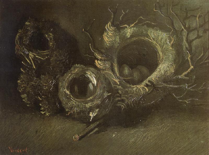 Vincent Van Gogh Still life wtih Three Birds'Nests (nn04) oil painting image